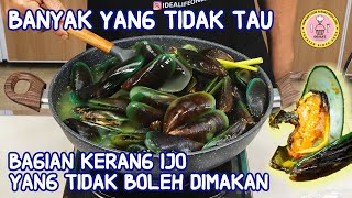 BANYAK YANG TIDAK TAU BAGIAN KERANG IJO YANG TIDAK BOLEH DIMAKAN