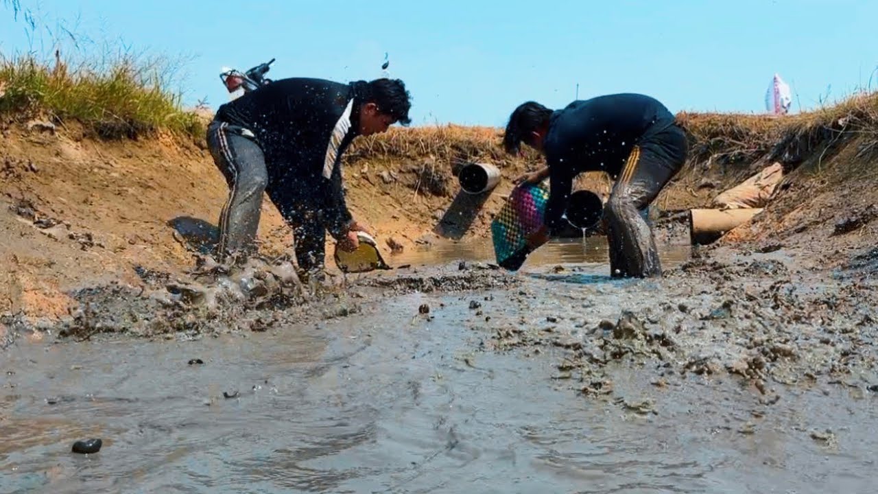 Tát Mương Mò Cá Cạn Phát Hiện Ổ Của Con Này Bắt Đã Tay 