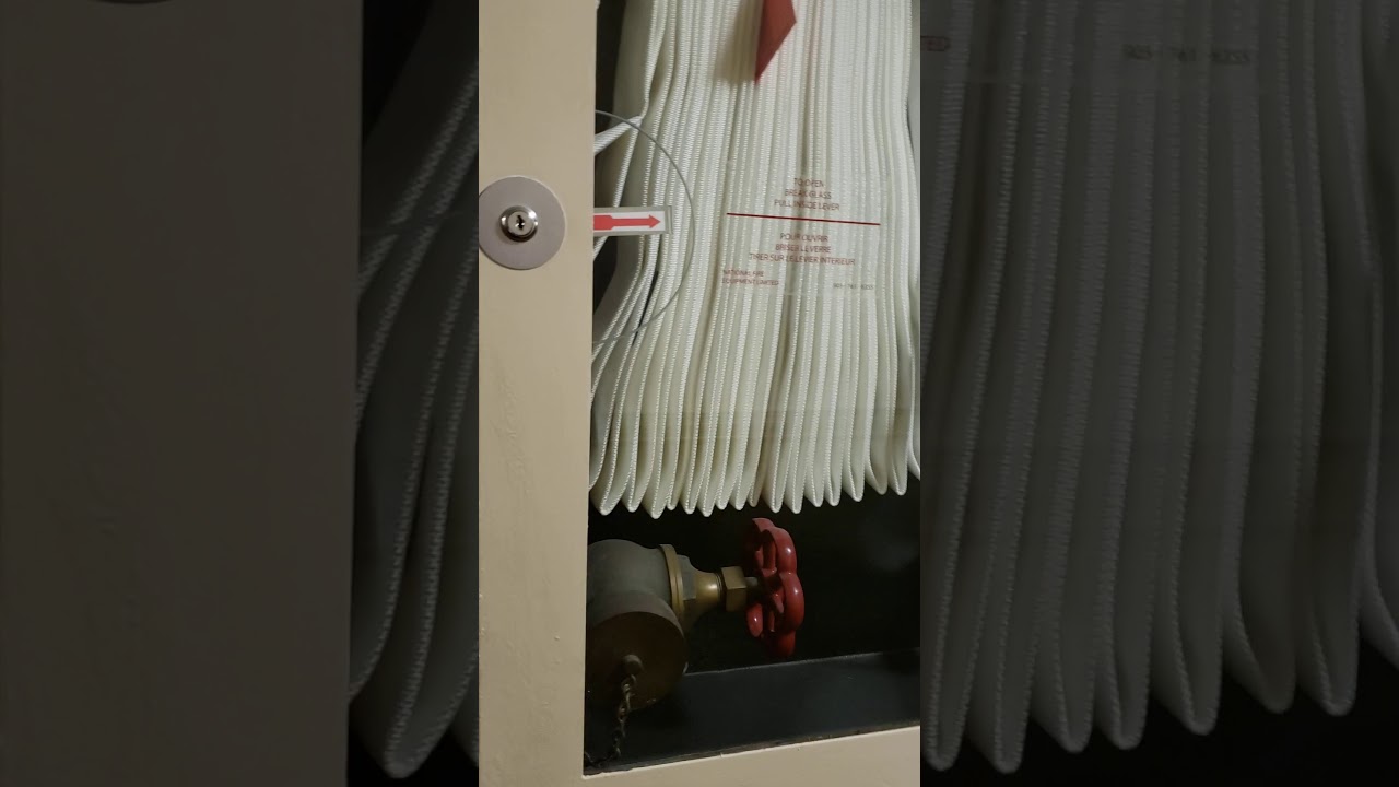 Return to 650 Parliament