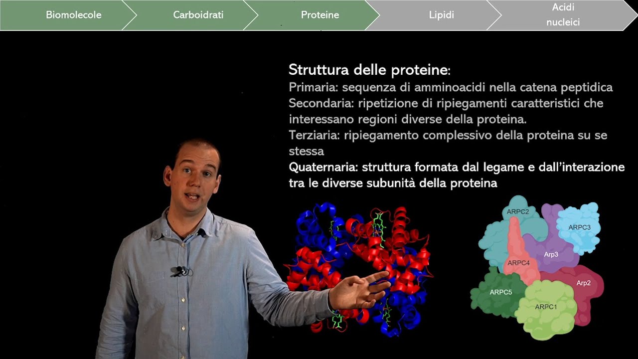 Le biomolecole: gli Amminoacidi e le Proteine
