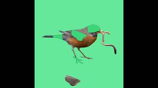 PuzlMi App - Robin Puzzle - Hundreds of Amazing Puzzles screenshot 4