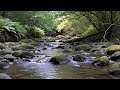 Quiet River Stream for Deep Relaxation Sleep