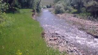 Türküler Çekiç Ali Doğar Bahar Yaz Ayları Resimi