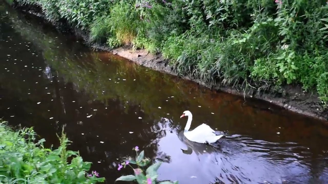 Карательная Логика есть производная..............