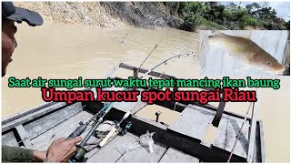 Full satu hari mancing ikan baung di spot pedalaman sungai Riau umpan kucur #mancingbaung #fishing 