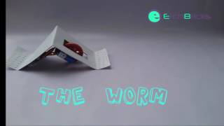 THE WORM - EtchBricks