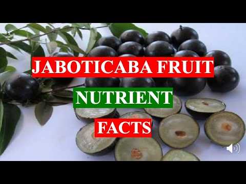 JABOTICABA FRUIT - MEDICAL AND  HEALTH BENEFITS AND NUTRIENTS FACTS