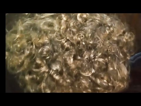 ازاى تعملى شعر ابنك أو بنتك كيرلى بحاجة بسيطة