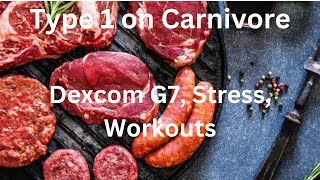 Carnivore Diet Update - Dexcom G7 and Blood Sugar Examples Profile