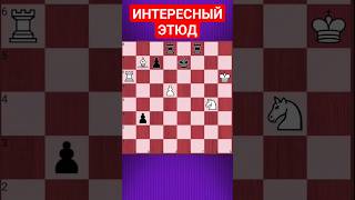 💥ЛАДЬЯ ТОЛЬКО МЕШАЕТ #chesspuzzle #шахматныезадачи #шахматы #chess