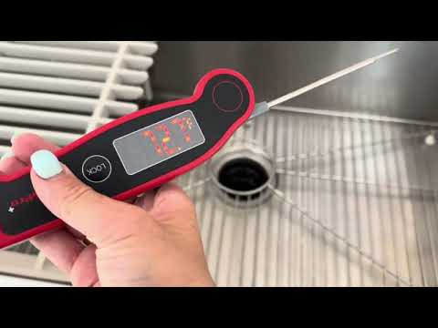 Review: ThermoPro TP19