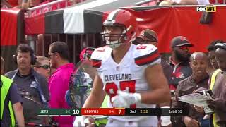 Seth Devalve - Tight End - Cleveland Browns 2017 Season/ Campaign