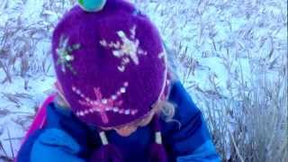 New land speed record set at Lyons sledding hill.