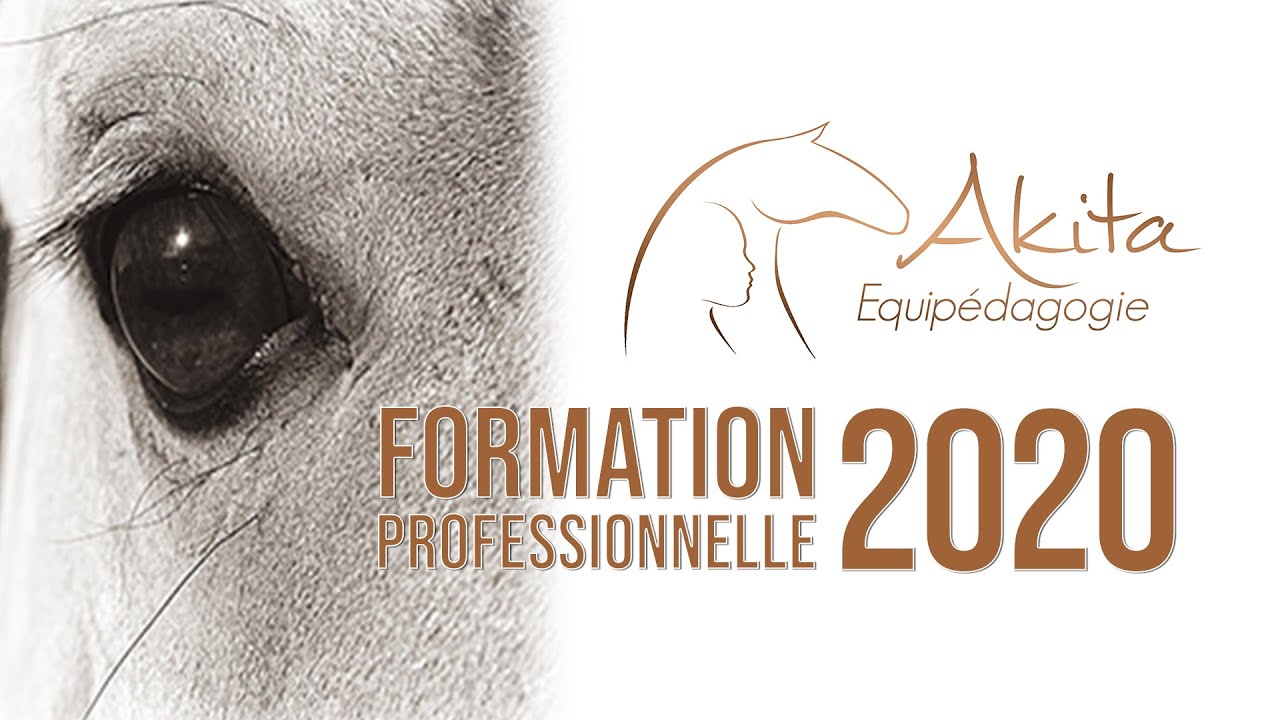 Formation professionnelle 2020