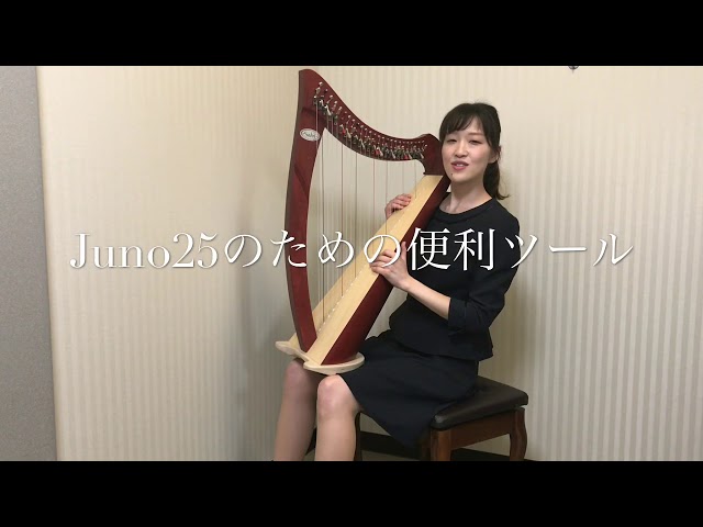 サルヴィハープJUNO25 Salvi HARPS JUNO25 ジュノ 25弦 (グリーン) [リュック付属