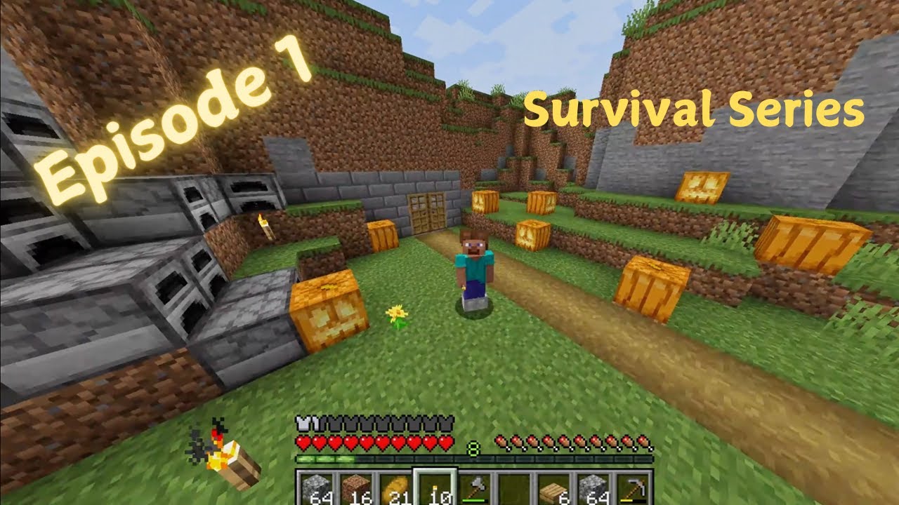Minecraft Episode 1 | Survival Seiries #minecraft #survival #series # ...
