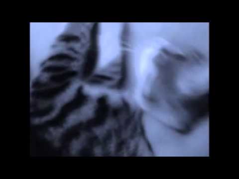 სუსტი გული ვისაც აქ არ უყუროთ ^_^