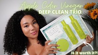 Fekkai Apple Cider Vinegar Deep Clean Trio Demo + Review On 3c/4a Curls! | Is It Worth It