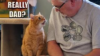My Cat Actually Talked Back... And Dad Was Speechless! 😱🐱