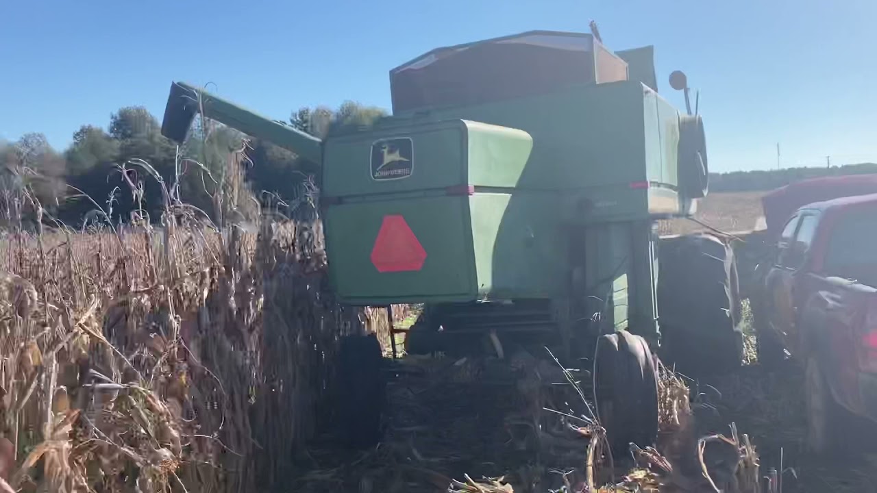 Corn harvest 2021