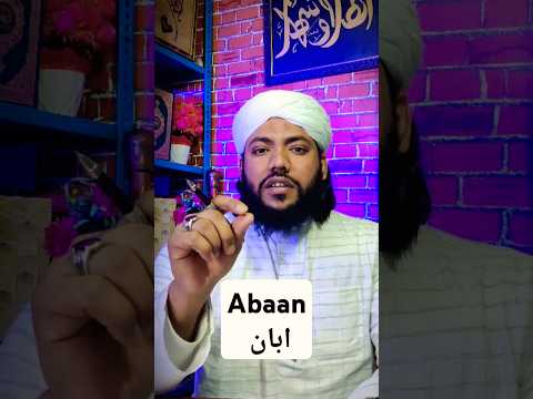 What Is The Meaning Of Abaan Name Shorts 