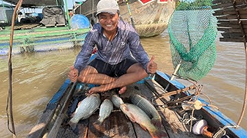 CẦN CÂU CÁ XỊN đã chinh phục được bầy cá chép khủng