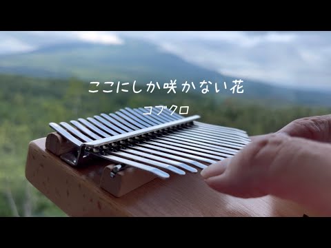 【ここにしか咲かない花】コブクロ       北海道より癒しの音色カリンバで弾きました