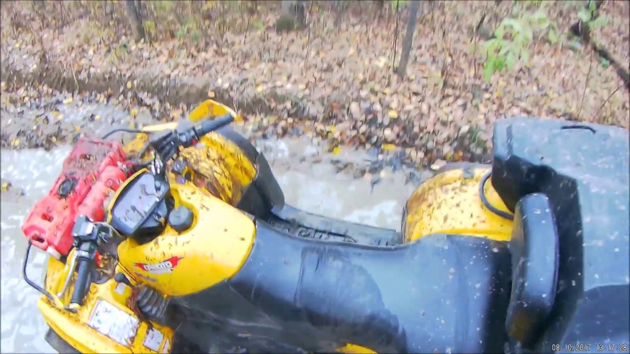 по хехциру 08 10 2017