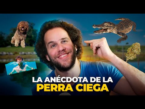 La ANÉCDOTA De La PERRA Ciega- Anécdotas