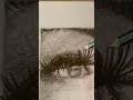 Hyperrealistic eye 👁️✨#art#drawing #sketch #hyperrealisticdrawing