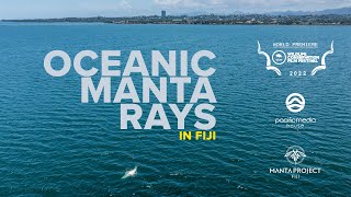 Oceanic Manta Rays In Fiji  Manta Project Fiji 2022