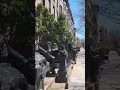 Brooklyn Heights Downtown New York #newyork #brooklyn #travel #walking