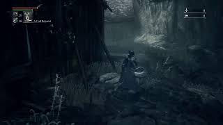 Bloodborne Challenge run arc only 100%ing