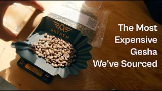 The most expensive coffee we've sourced - Colombian Gesha
