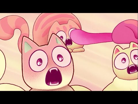 Anteprima video