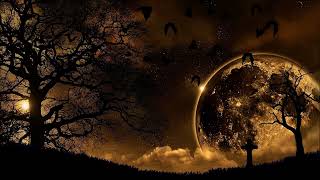 Darkpsy/Forest/Dark Forest Mix 2024 [Dark Night Hallucination Part #11 Mixed by Dysomnia]