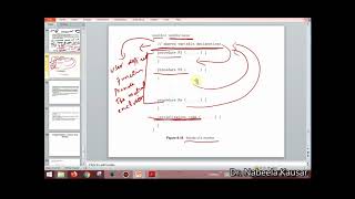 Lecture 6 Monitors Operating System