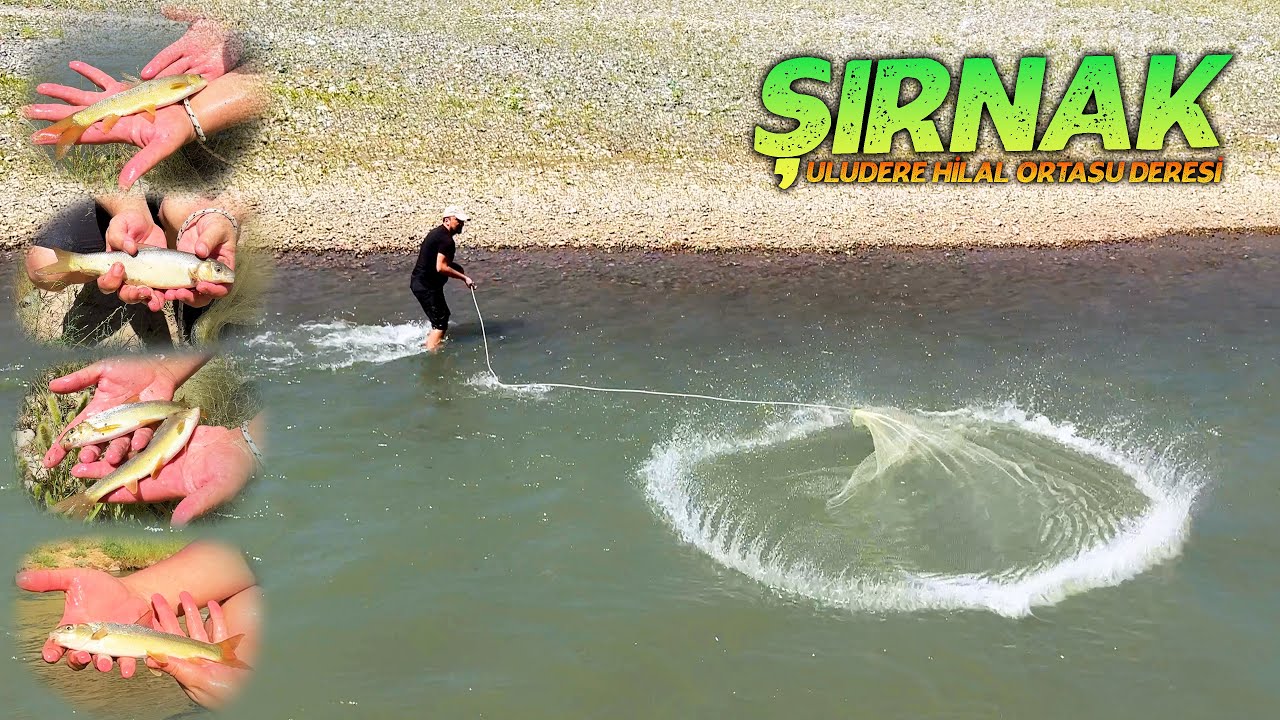 ŞIRNAK BALIK AVI – Uludere'nin Hilal Beldesi'nde Yer Alan Ortasu Deresi'nde Serpmeyle Balık Avladık