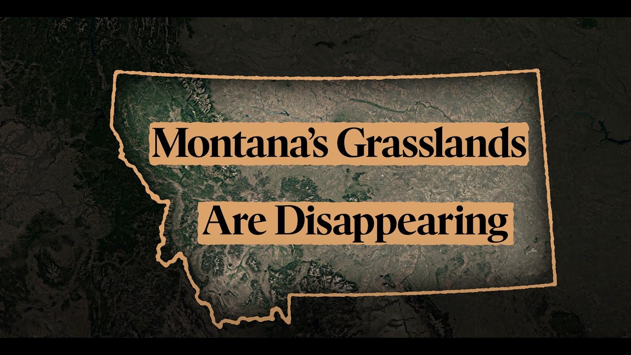 The Montana Grassland Initiative Explained