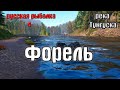 Русская рыбалка 4(рр4/rf4) - река Нижняя тунгуска. Форель.