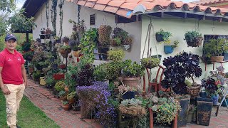 El jardín de Marta está lleno de suculentas y una hermosa decoración .