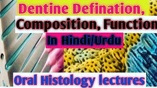 Dentine definition, physical properties, Dentine composition, Dentine Function in Hindi/Urdu|part 1