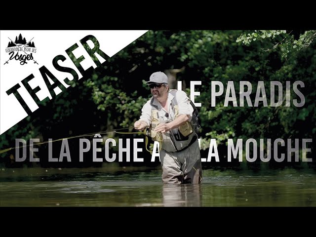 Pêche du bar à la mouche - - Guide de pêche en Finistère