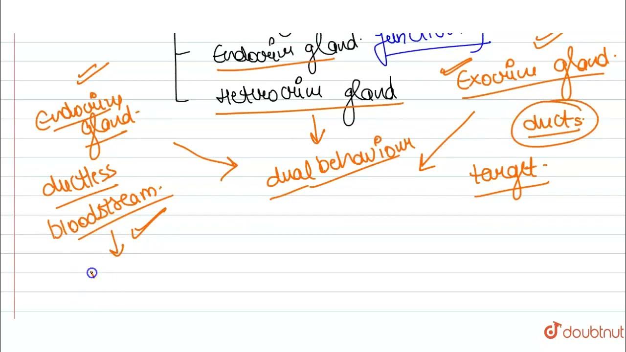Define a gland. What are the three kinds of glands ? Give one example