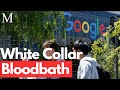 How AI is Causing a White Collar Bloodbath