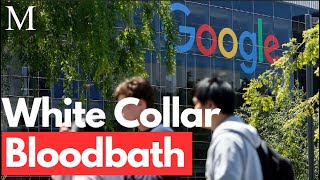 How AI is Causing a White Collar Bloodbath