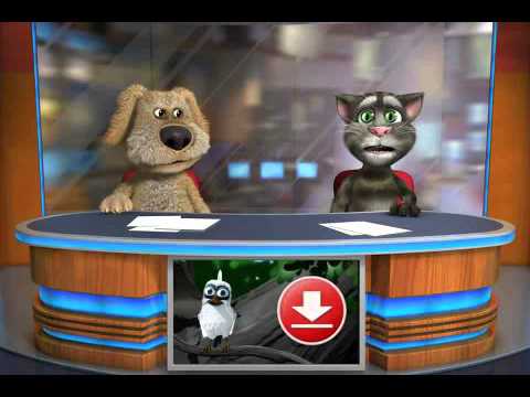 יניב חיו החתול העירקי שיר עירקי לומל 