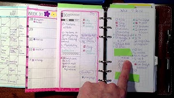 How I Used My DIY Fish Inserts This Week