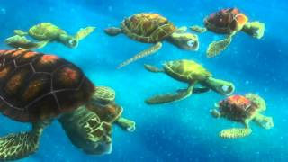 Danielle Feinberg The magic ingredient that brings Pixar movies to life.