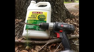 Tree Drill/Kill 1oz Undiluted Glyphosate